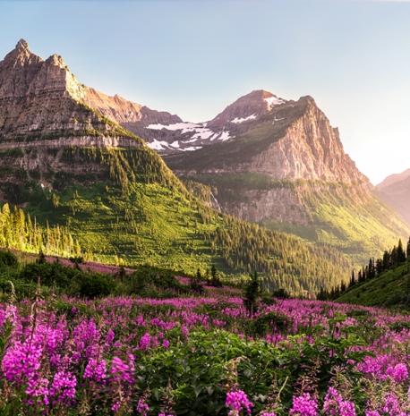 free photoshop actions