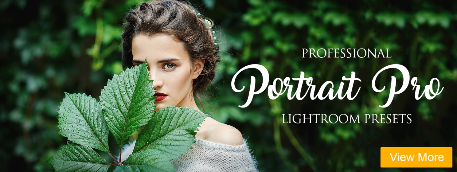 lightroom presets free download zip