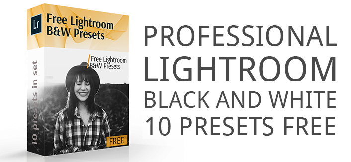 professional lightroom black and white presets