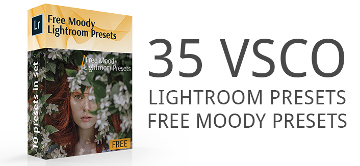 vsco lightroom presets