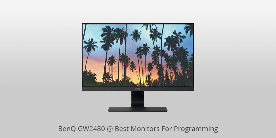 7 Best Monitors For Programming in 2022