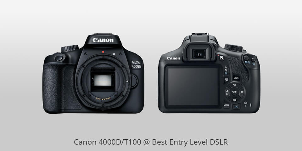 15 Best Entry Level Dslrs In 2021