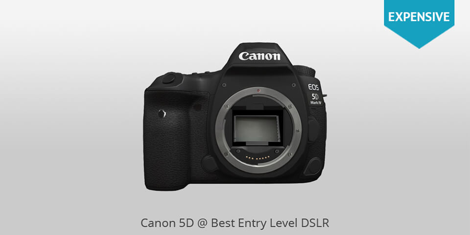 15 Best Entry Level Dslrs In 2021 15 Best Entry Level Dslrs In 2021