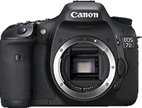 15 Best Entry Level Dslrs In 2021 15 Best Entry Level Dslrs In 2021
