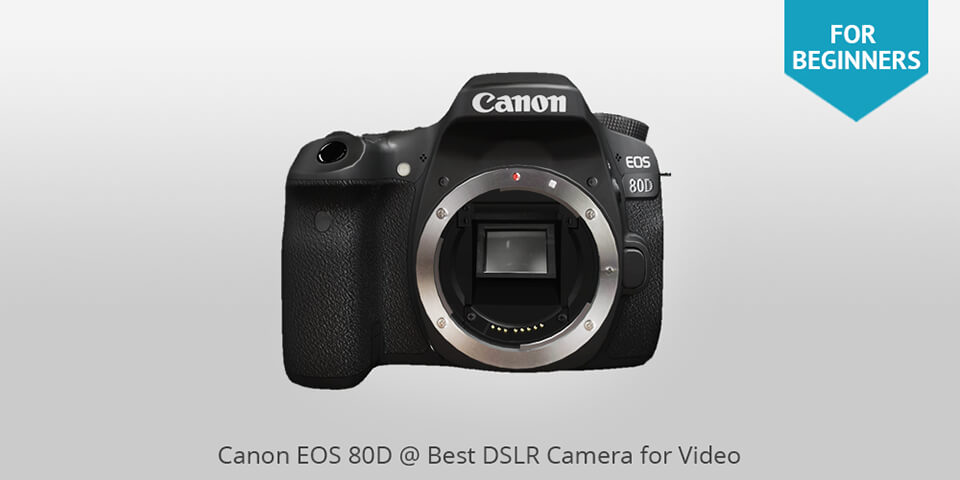 Canon EOS 80D Best DSLR for Video