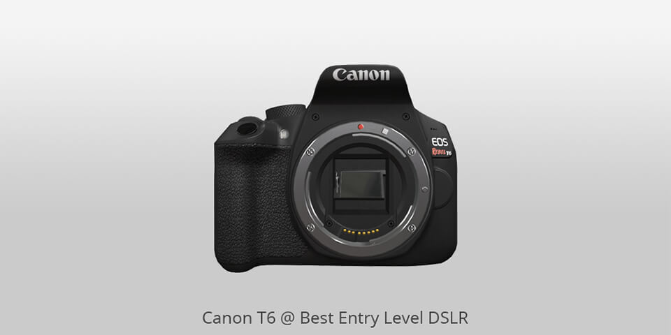 15 Best Entry Level Dslrs In 2021