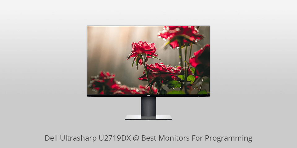 The best monitors for programming in February 2024