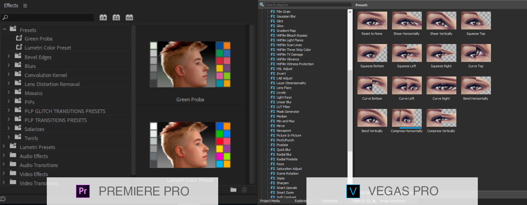 vegas pro vs premiere pro working