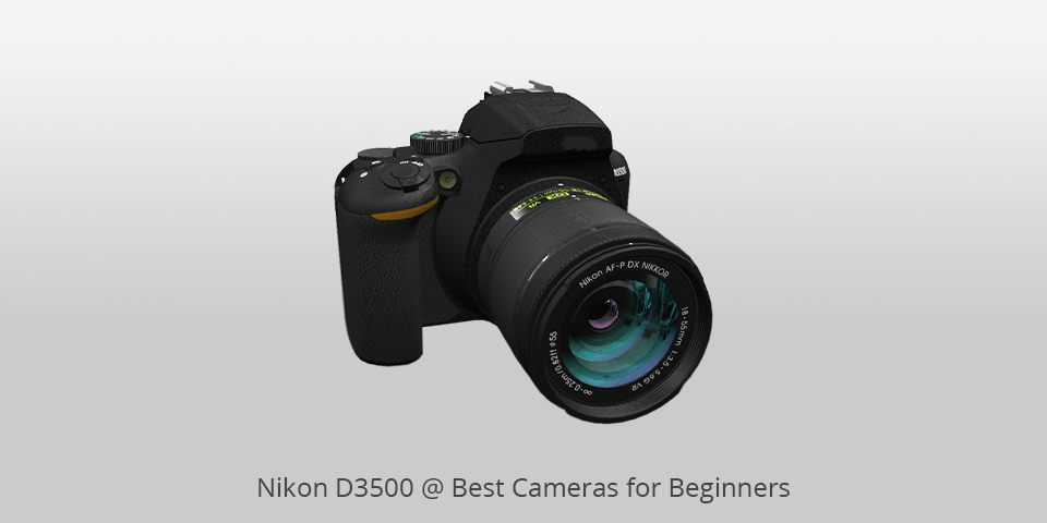 nikon d350 camera for beginners