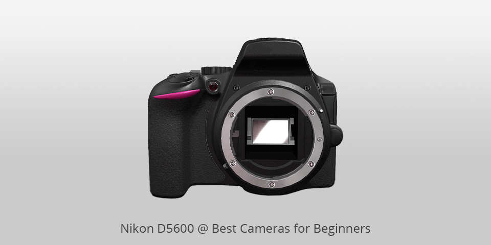 nikon camera for beginners