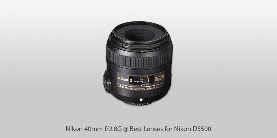 8 Best Lenses for Nikon D5500 in 2023