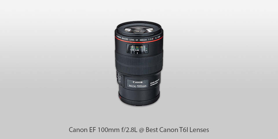 best portrait lens for canon t6i