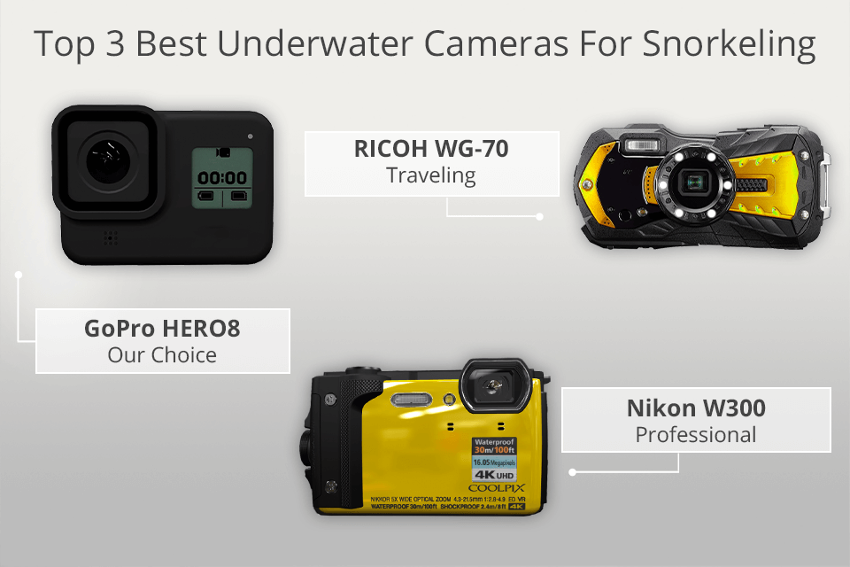 6 Best Underwater Cameras for Snorkeling in 2024