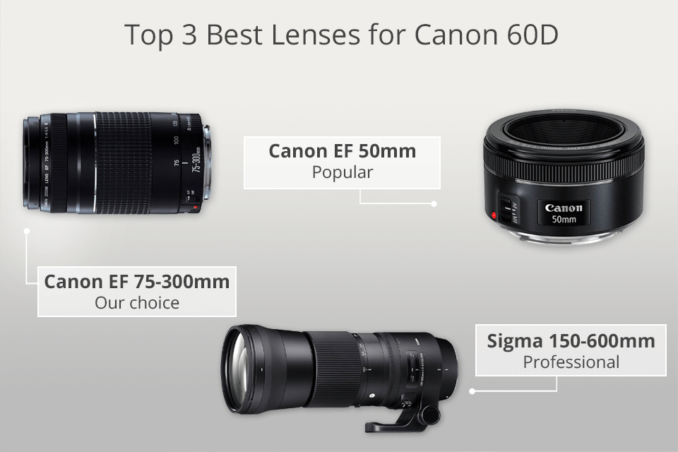 graven rijst genetisch 5 Best Lenses for Canon 60D in 2023