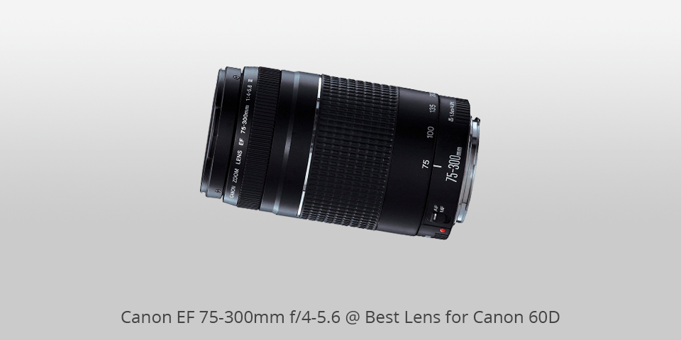 5 Best Lenses For Canon 60d In 2022, Best Lens For Landscape Photography Canon 60d