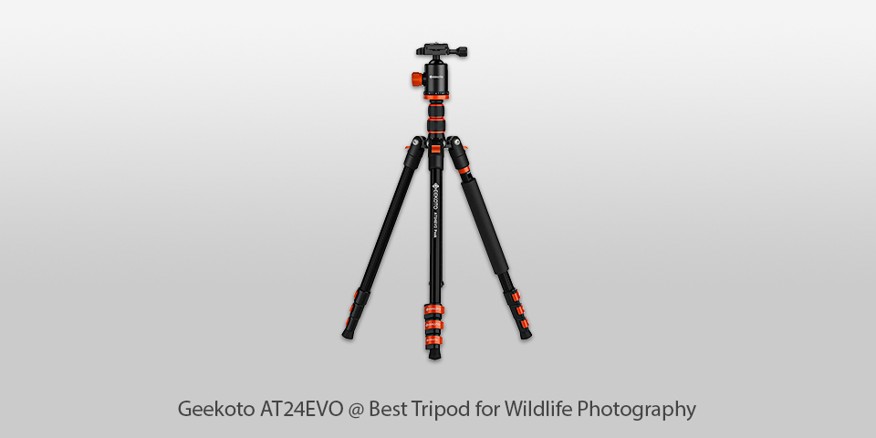best tripod for wildlife photography geekoto at24evo