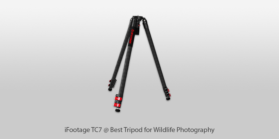 best tripod for wildlife photography ifootage tc7
