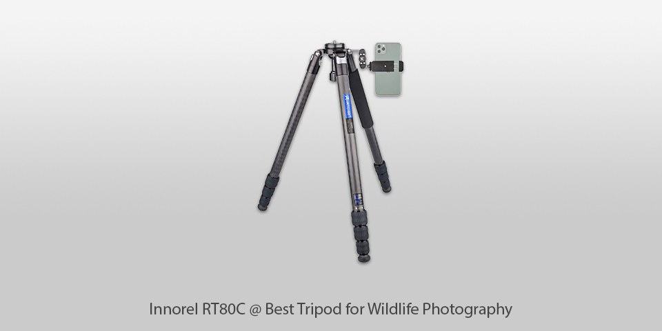 best tripod for wildlife photography innorel rt80c