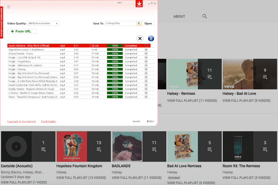 Download youtube playlist downloader