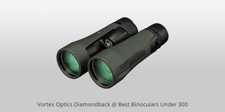 8 Best Binoculars Under 300 Dollars in 2020 Best Telescope Under 300 Dollars