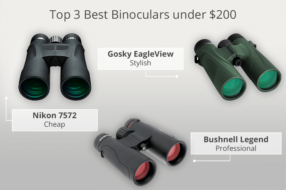 https://fixthephoto.com/blog/UserFiles/Image/222/3/8/best-binoculars-under-200.png