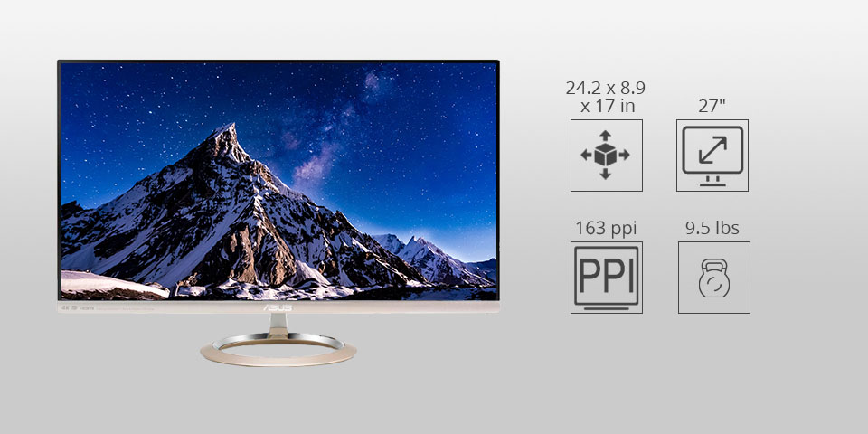 15 Best Monitors for Photo Editing in 2022