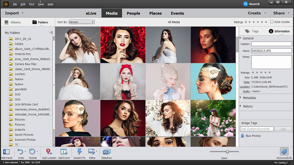 photoshop elements organizer