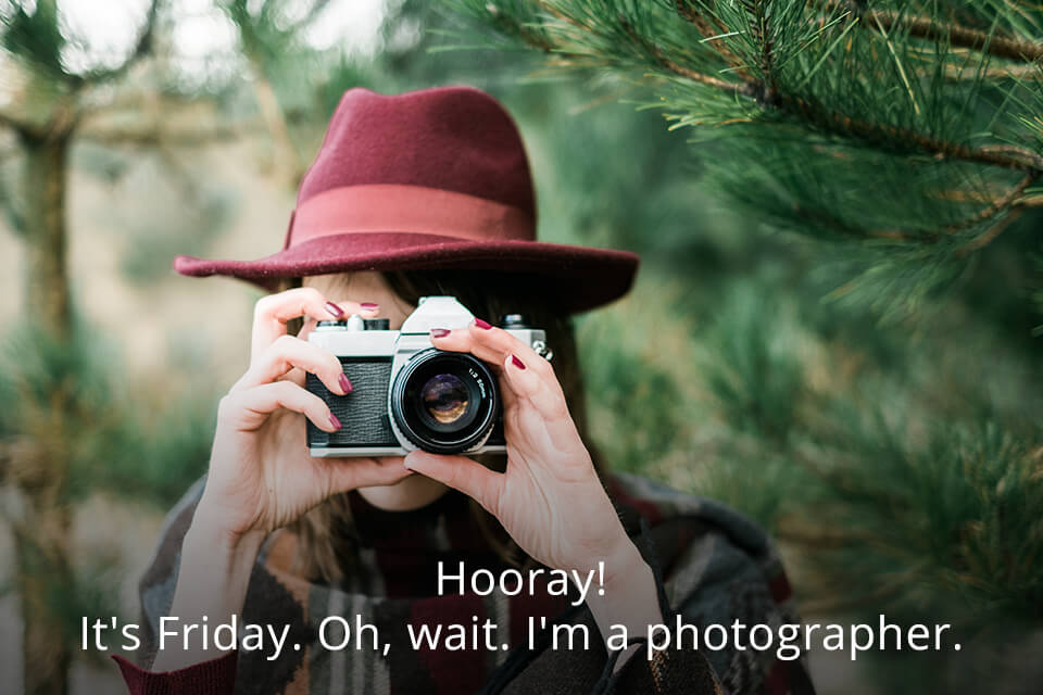 30 Photography Puns & Jokes to Make Your Day