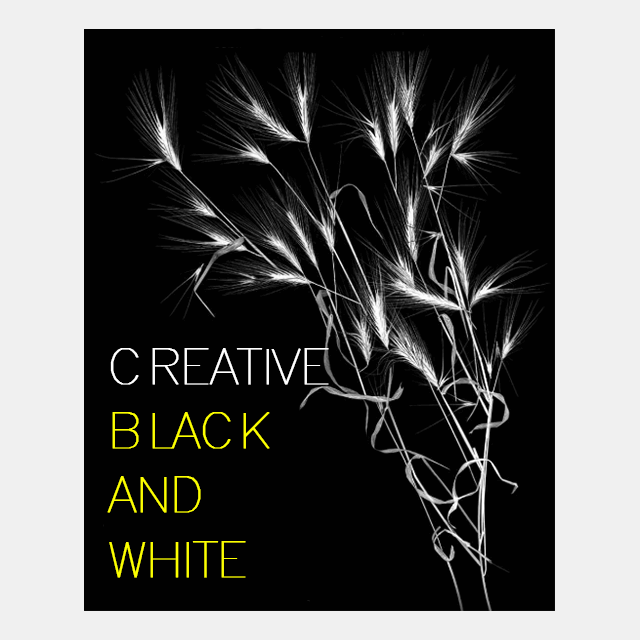 33 Best Photography Books to Read in 2024