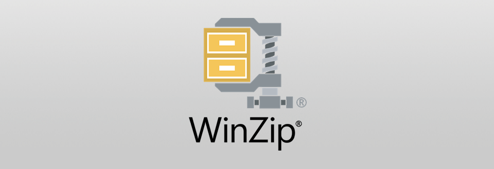 winzip 24 standard edition logo