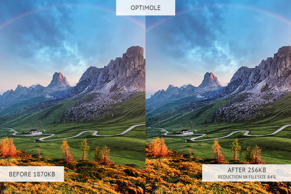 Optimole image optimizer results