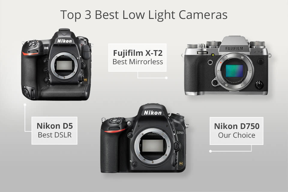 Top 3 Best Low Light Cameras