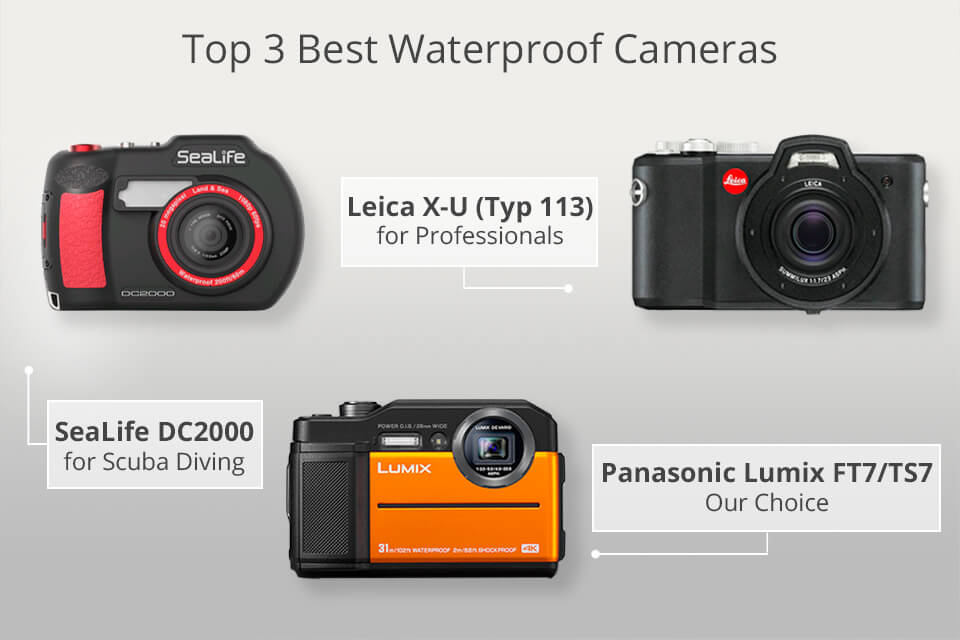 15 Best Waterproof Cameras in 2022