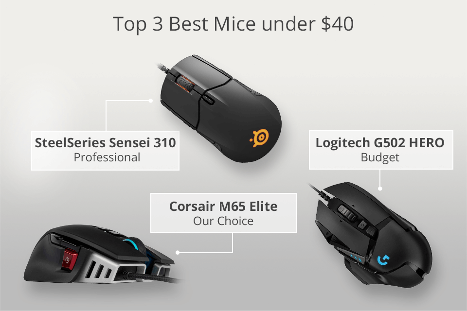 Top 9 Best Mice Under $40 2023