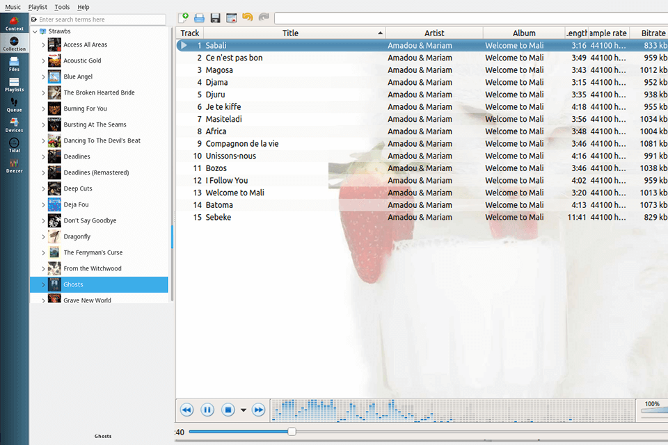 strawberry music management software interface