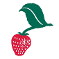 strawberry music management software logo