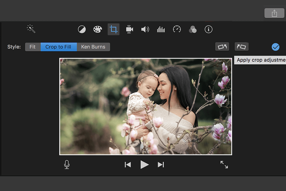 11 Best Free Video Cropping Software in 2024