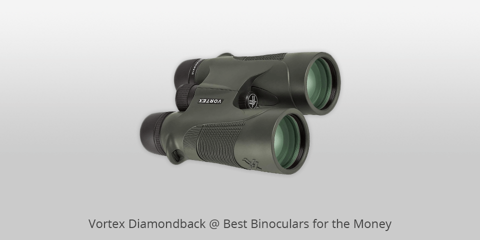 best binoculars for the money