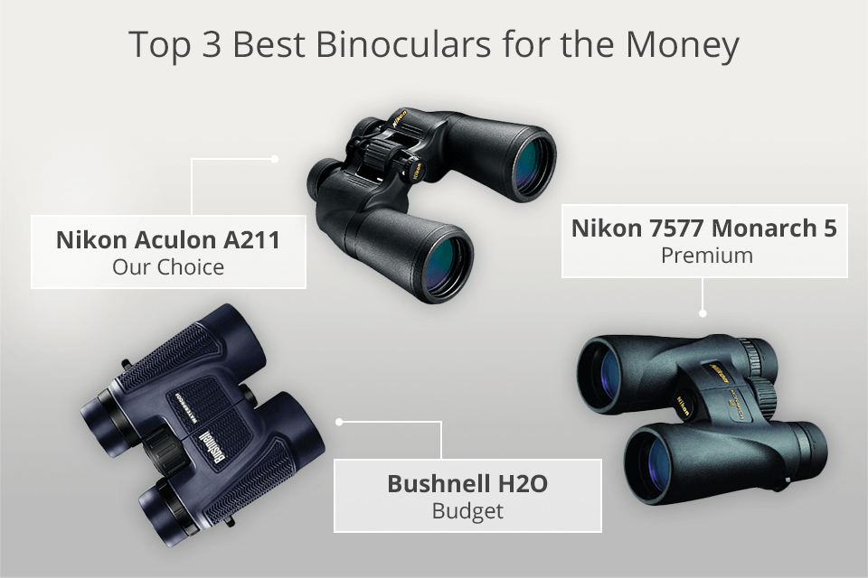 5 Best Binoculars under $50 in 2021 - Reviews & Buyer's Guide - Optics Mag