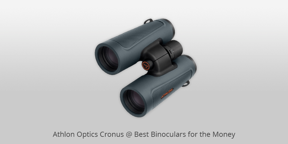 9 Best Binoculars for the Money in 2020