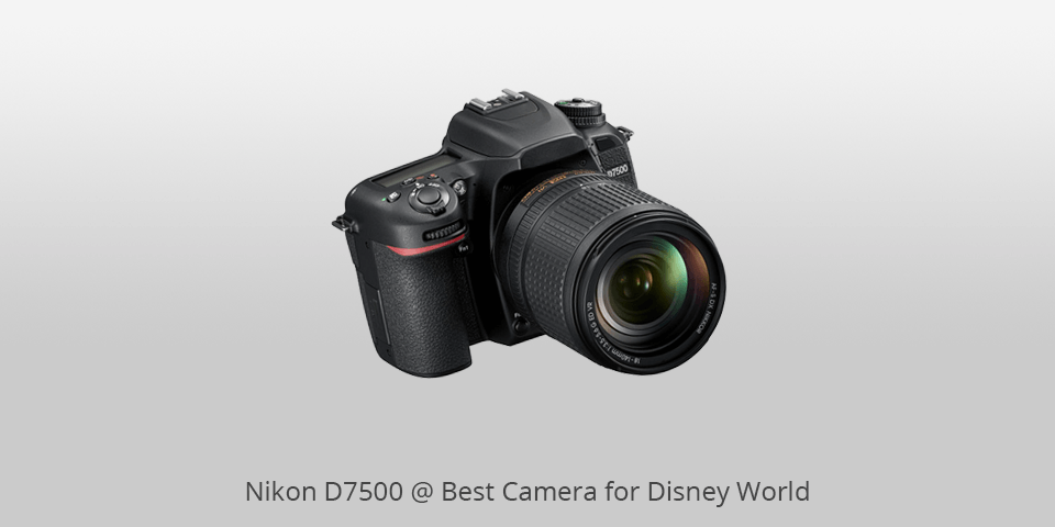 camera for disney world