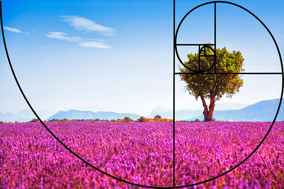 How To Use The Golden Ratio In Photography Composition Golden Ratio ...