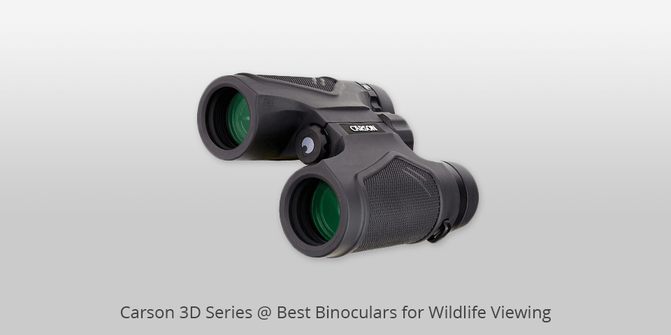 7 Best Binoculars for Wildlife Viewing in 2023