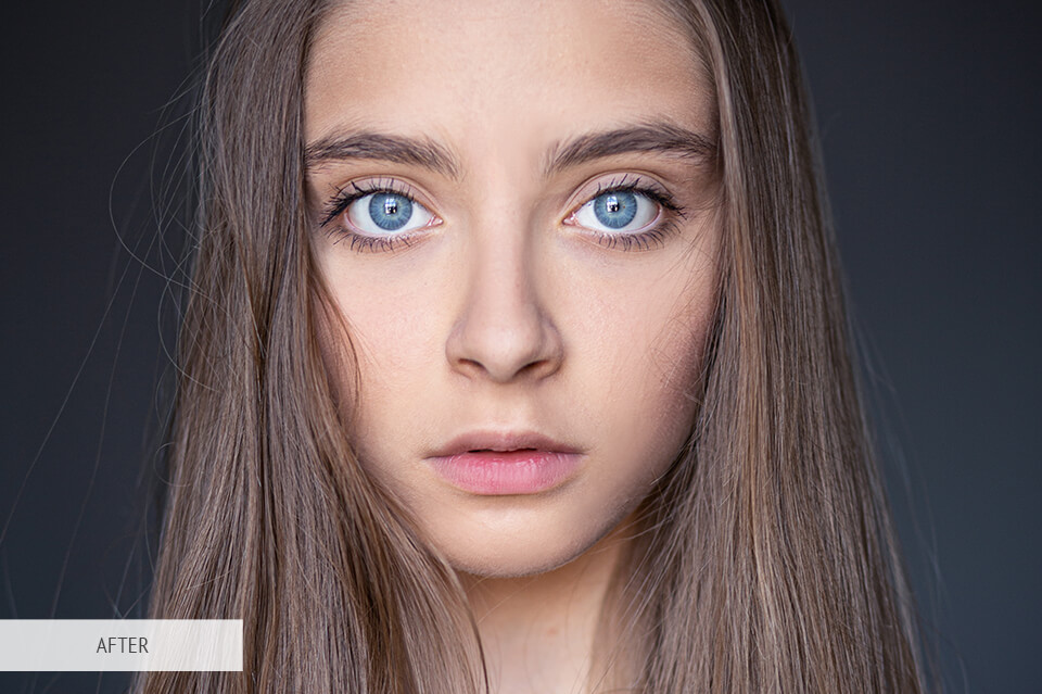 Adobe camera raw 9.5 download