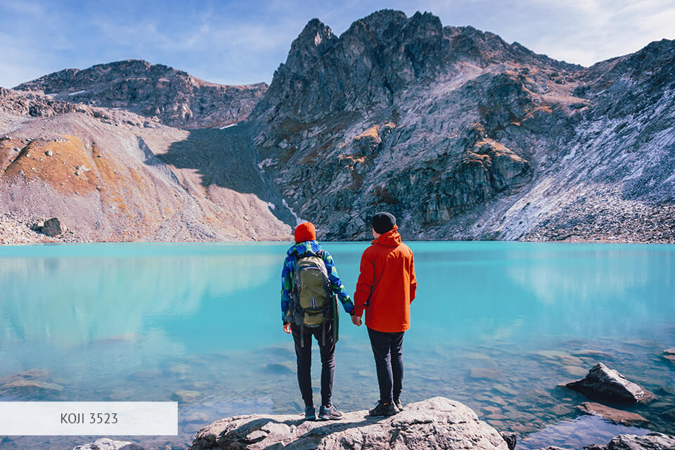 كوجي luts الأزرق البارد