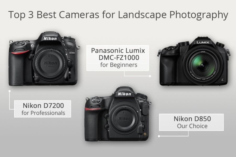 12 Best Cameras For Landscape Photography What Is The Best Budget Camera For Landscape Photography