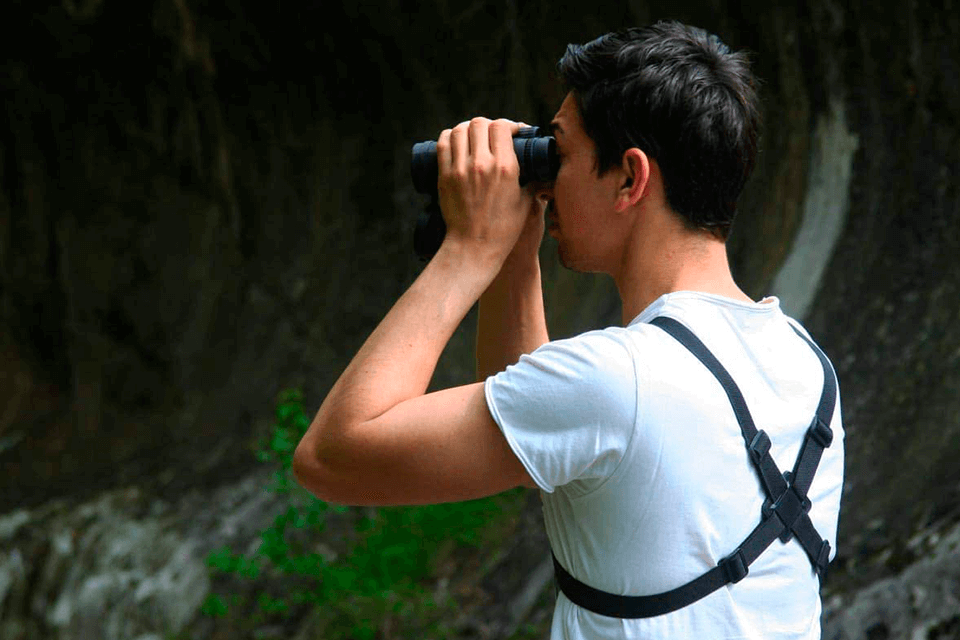 8 Best Binoculars Straps in 2024