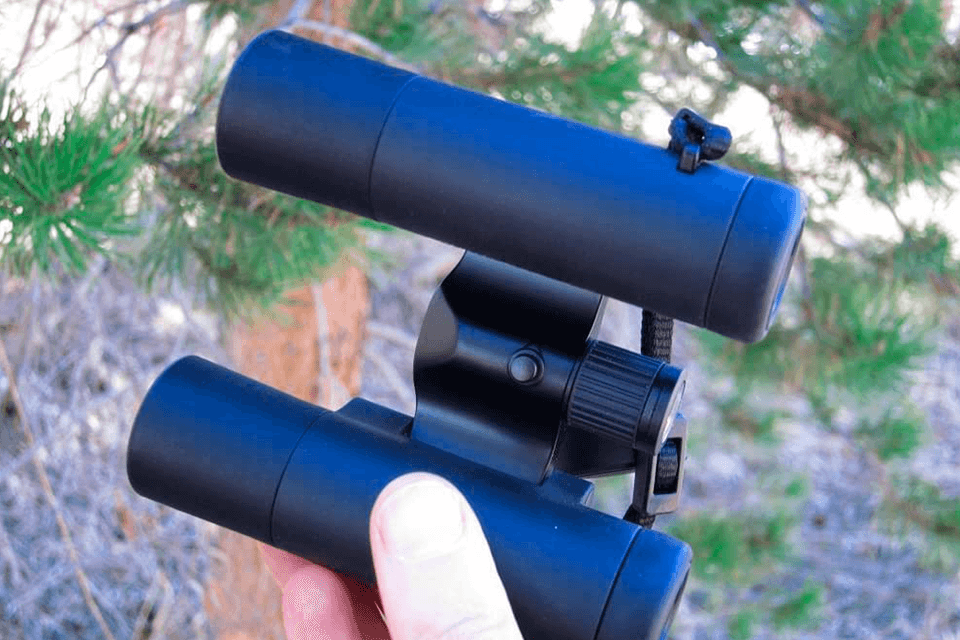 7 Best Binoculars for Yellowstone in 2024