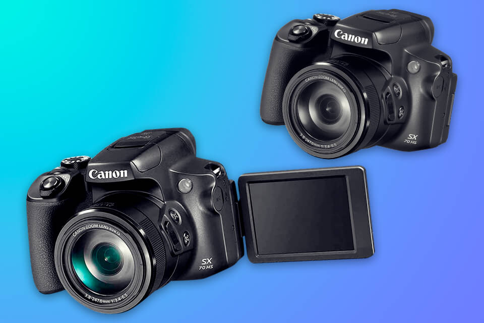 9 Best Cameras for Safari in 2022