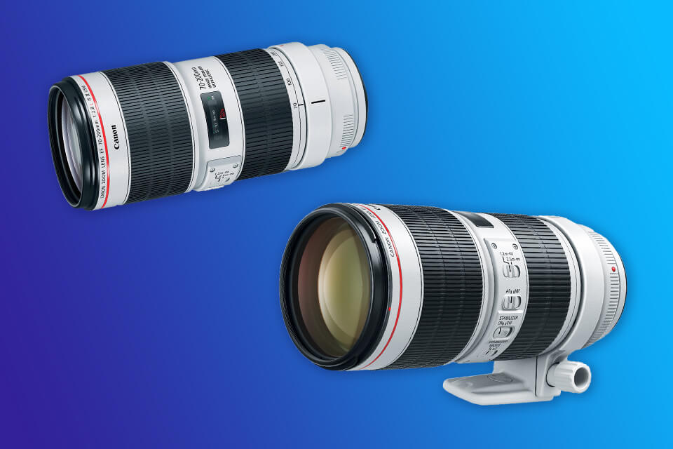 7 Best Lenses for Canon T8i in 2024